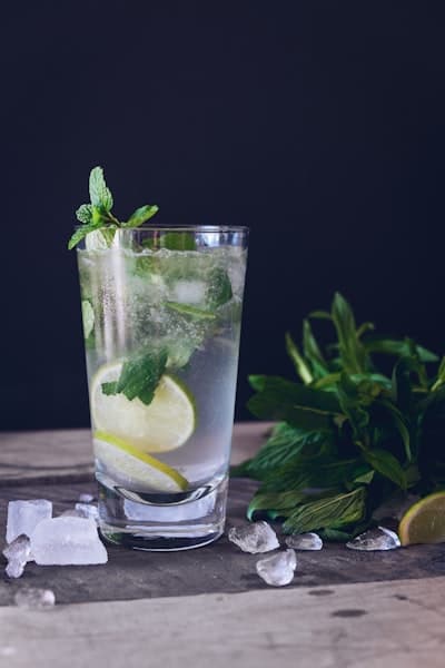 Soda maison